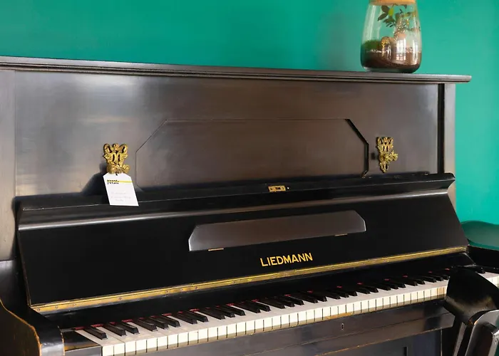 Отель Greet Nancy Sud 3*